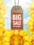 Sunflower with blue sky - autumn sale. EPS 10