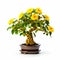 Sunflower Bonsai: A Stunning Blend Of Nature And Precision