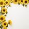 Sunflower border for a creative and artistic endeavor