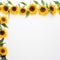 Sunflower border for a creative and inspiring space