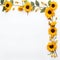 Sunflower Border Delight Simple Beauty