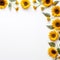 Sunflower border that is easy to download and use