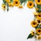 Sunflower border for a magical and enchanting moment