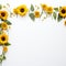 Sunflower border for a positive and optimistic outlook