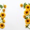 Sunflower border for a positive and optimistic outlook