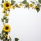 Sunflower border to add a touch of whimsy