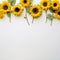 Sunflower border to attract abundance