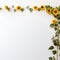 Sunflower border to brighten up a dark corner