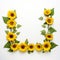 Sunflower border to help you manifest your dreams