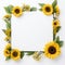 Sunflower border to make a lasting impression