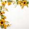 Sunflower border to make a lasting impression