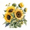 Sunflower Bouquet Watercolor Art - Naturalistic Botanical Style