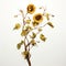 Sunflower Branch: Conceptual Minimalist Sculpture With Realist Detail