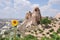 Sunflower, Cappadocia Rock Formations, Red Rose Valley, Goreme, Turkey