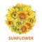 Sunflower circle banner watercolor