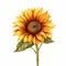 Sunflower Clipart: Vector Art Of Heather Theurer Style Flower
