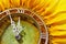 Sunflower-clock