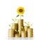 Sunflower and coins