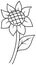 Sunflower coloring book page. Outline clipart