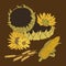 Sunflower and Corn vector greeting card on the dark background