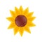 sunflower cute isolated icon