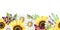 Sunflower, daisy, lavender flowers seamless border. Watercolor illustration. Hand drawn spring and summertime natural