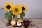 Sunflower decoration with pumpkins and leafs