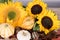 Sunflower decoration with pumpkins and leafs