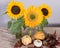 Sunflower decoration with pumpkins and leafs