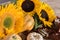 Sunflower decoration with pumpkins and leafs