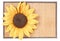 Sunflower decoration on wooden table