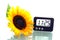 Sunflower and digital clock