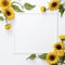 Sunflower Edges on White Whimsical Charm
