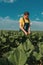 Sunflower farmer checking up on crop development in field