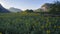 Sunflower field and agriculture area in lopburi thailand