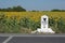 Sunflower field and kilometer stone