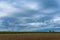 Sunflower field near ploughed soil, dramatic stormclouds at summertime