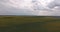 Sunflower field over which hung heavy clouds.