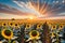 Sunflower Field at Peak Bloom, Golden Hour, Foreground Focused Sunflowers Towering Over the Viewer with Radiant Glow