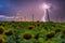 Sunflower field under stormy sky with lightning