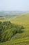 Sunflower fields on rolling hills.