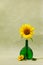 sunflower flower in a beautiful green vase with narrow neck on a soft green background