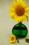 sunflower flower in a beautiful green vase with narrow neck on a soft green background