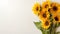 sunflower flowers background