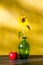 Sunflower in glass vase and red apple still life
