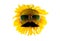 Sunflower with glasses and mustache (close-up) on a transparent background