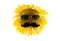 Sunflower with glasses and mustache on a transparent background