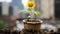 a sunflower growing in a pot on the ground