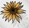 Sunflower, hand-drawing. Vector illustration.