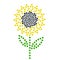 Sunflower harvest dotted line simple farm icon